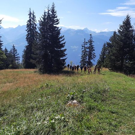 Chalet Le Paradou La Côte-dʼAime Eksteriør billede